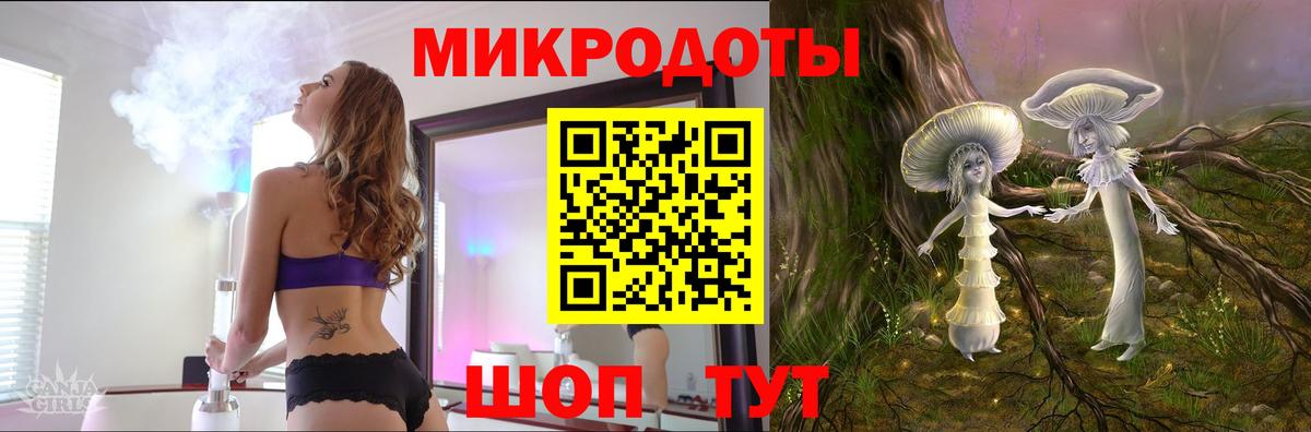 Новозыбков  Псилоцибиновые грибы мицелий  Вход с VPN  Псилоцибиновые грибы Psilocybe 